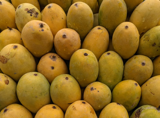India Hosts First-Ever Mango Promotion Event in Iceland to Boost Exports